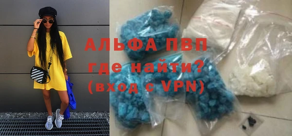 крисы Алексин
