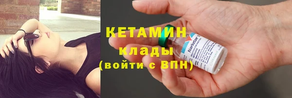 крисы Алексин
