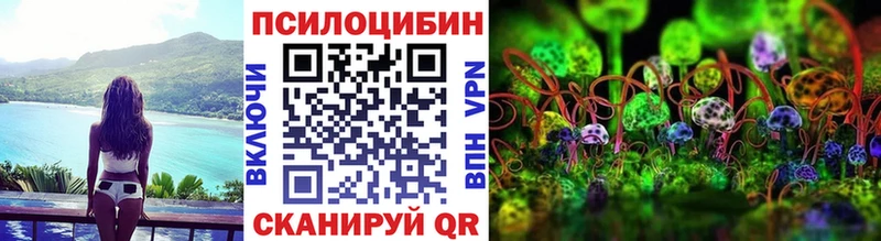 наркота  ОМГ ОМГ tor  Псилоцибиновые грибы MAGIC MUSHROOMS  Черемхово 